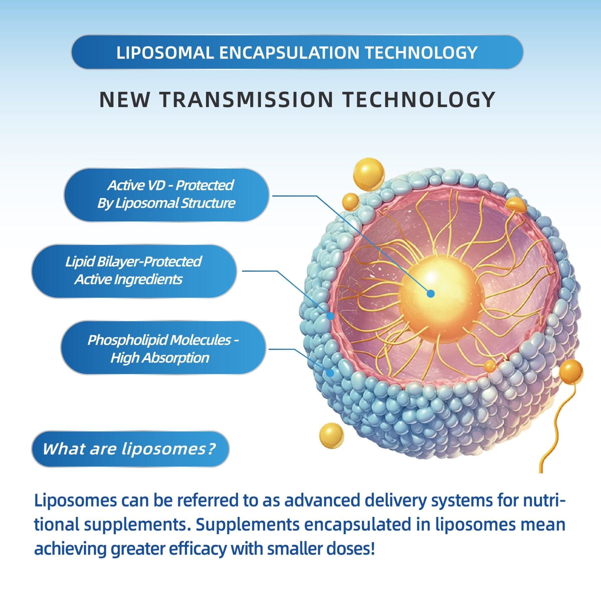 Lovini Vitamin D Liposomes (30 capsules) - Lovini Health