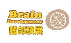 Brain-Development
